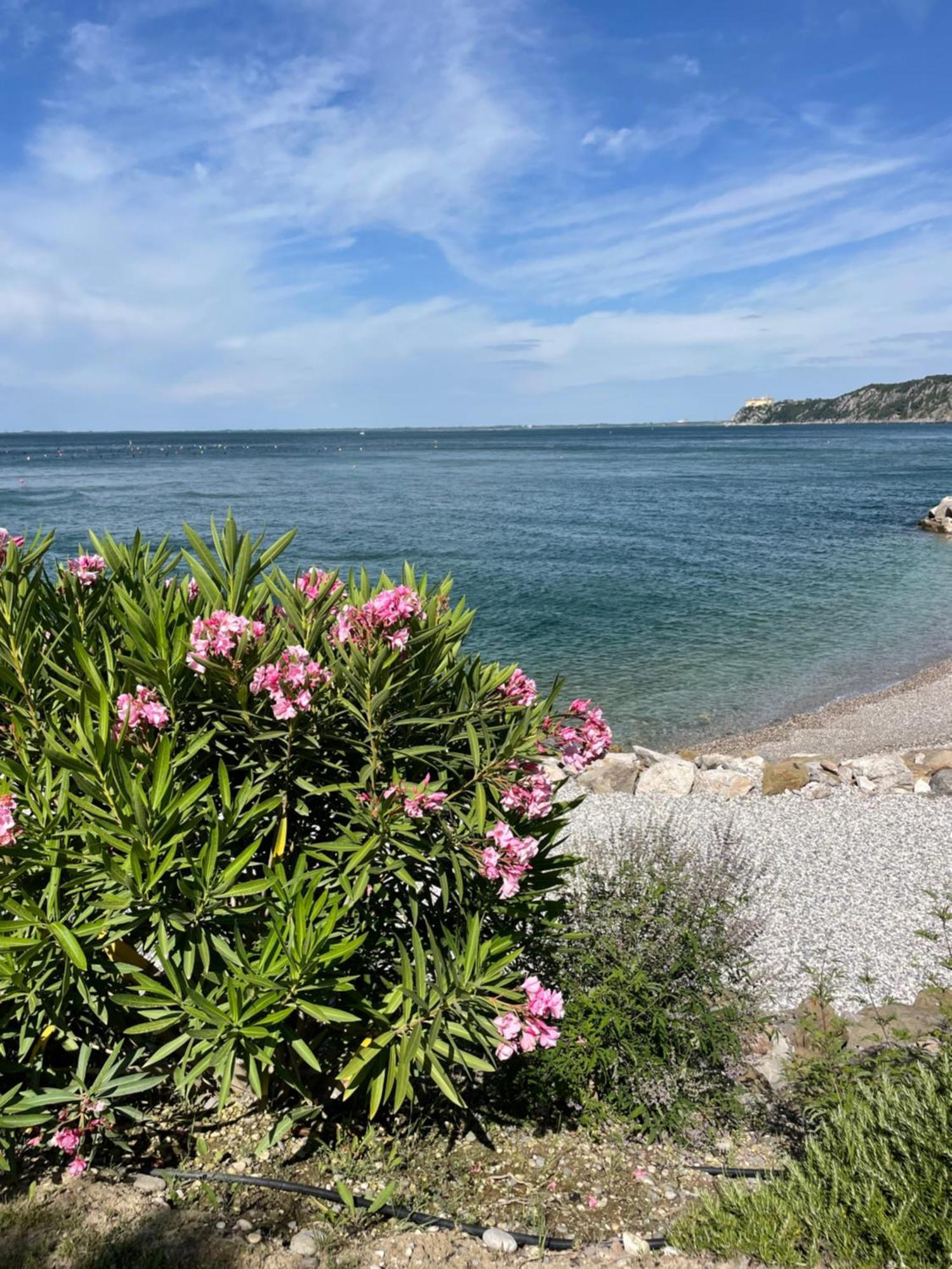 Portopiccolo Sul Mare - Sistianaアパートメント エクステリア 写真